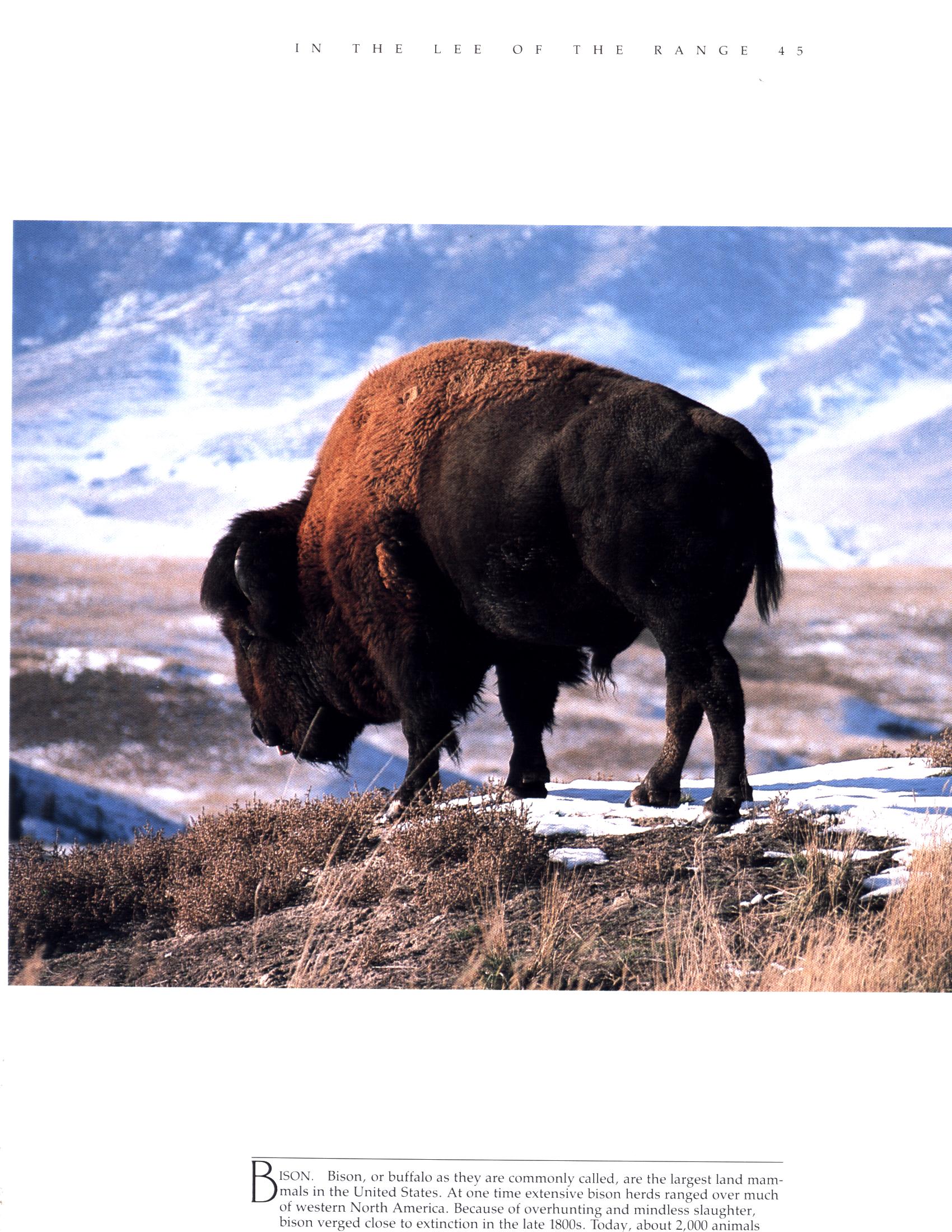 GRAND TETON NATIONAL PARK: where lightning walks. GRTE0696k